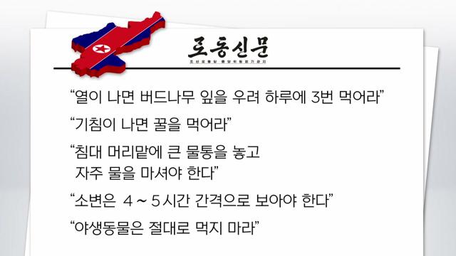 더뉴스] 北, 코로나 의심 신규 발열자 27만 여명...사흘 만에 폭증한 이유는? | Ytn