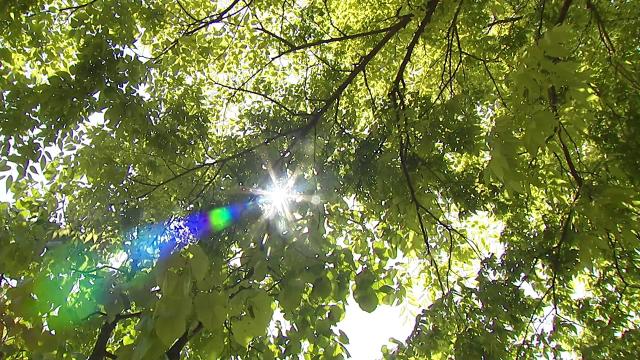 날씨] 갑자기 찾아온 초여름...오늘 서울 28℃, 내일 대구 30℃ | Ytn