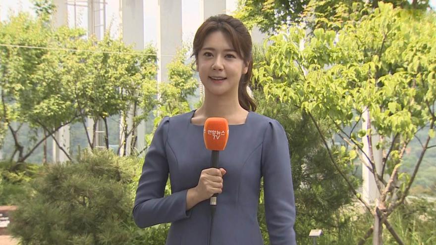 날씨] 서쪽 초여름 더위…내일~모레 남부·제주 '비'