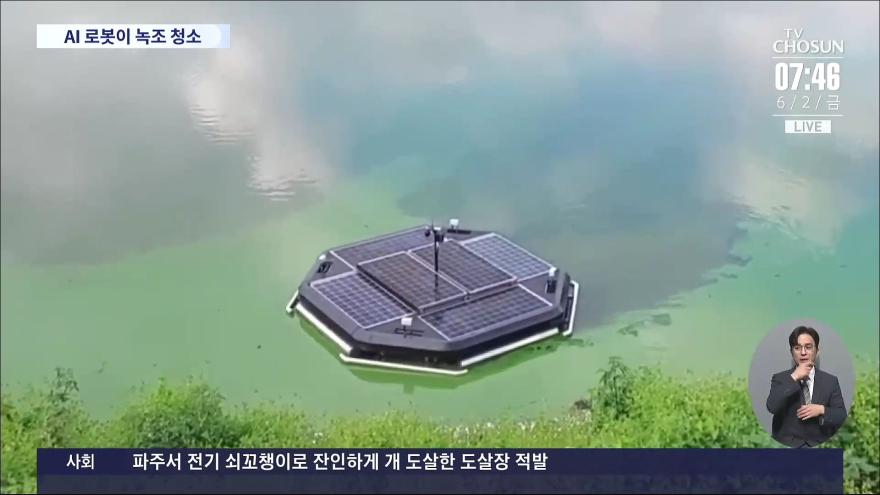 AI로 녹조 제거 '에코로봇', 낙동강 유역 집중배치 Ai로 녹조 제거 '에코로봇', 낙동강 유역 집중배치