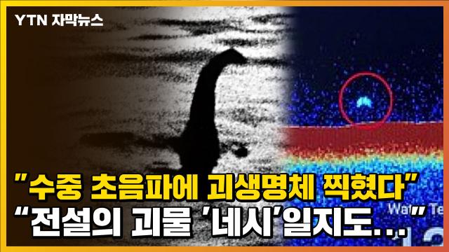 자막뉴스] 